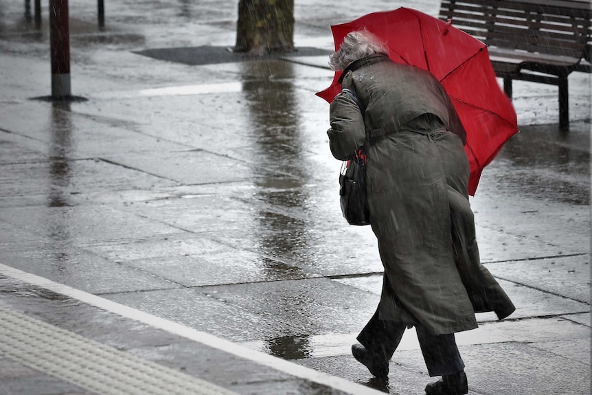 Old woman walking in the rain along city street with red umbrella.