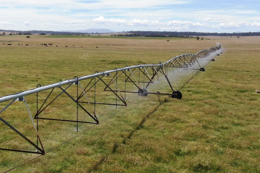 irrigation on farming land