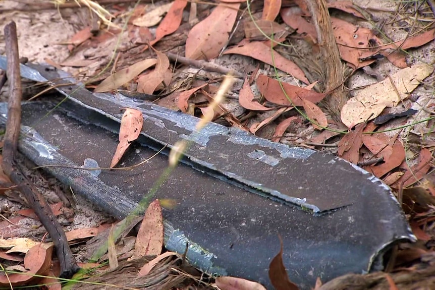 A piece of debris on the ground in the bush