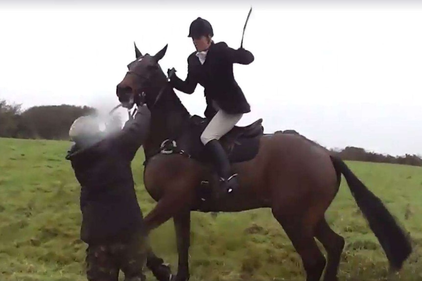 Huntswoman beats an activist with her riding crop