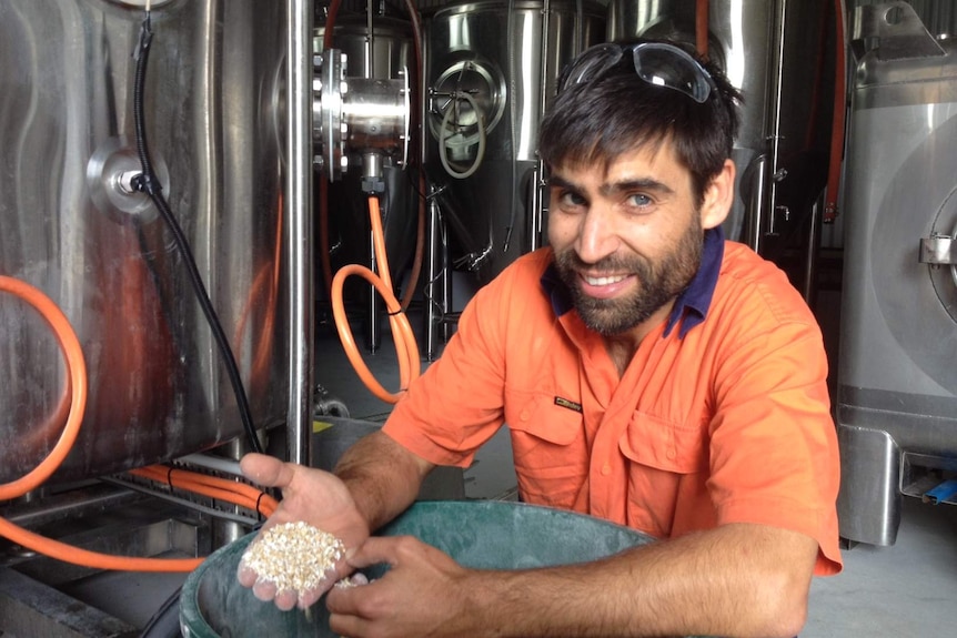 Man holds a handful of ground, crushed barley while surrounded by stainless steel brewing equipment.