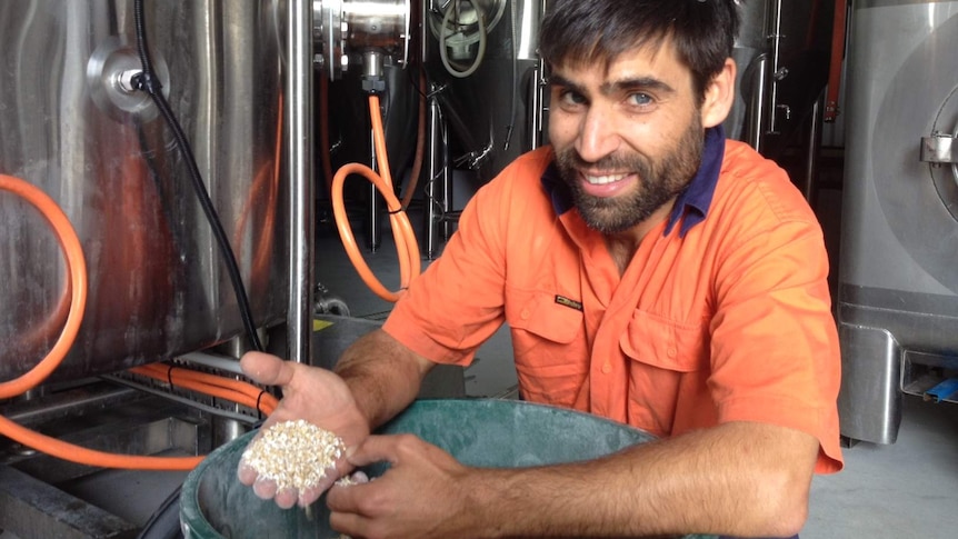Man holds a handful of ground, crushed barley while surrounded by stainless steel brewing equipment
