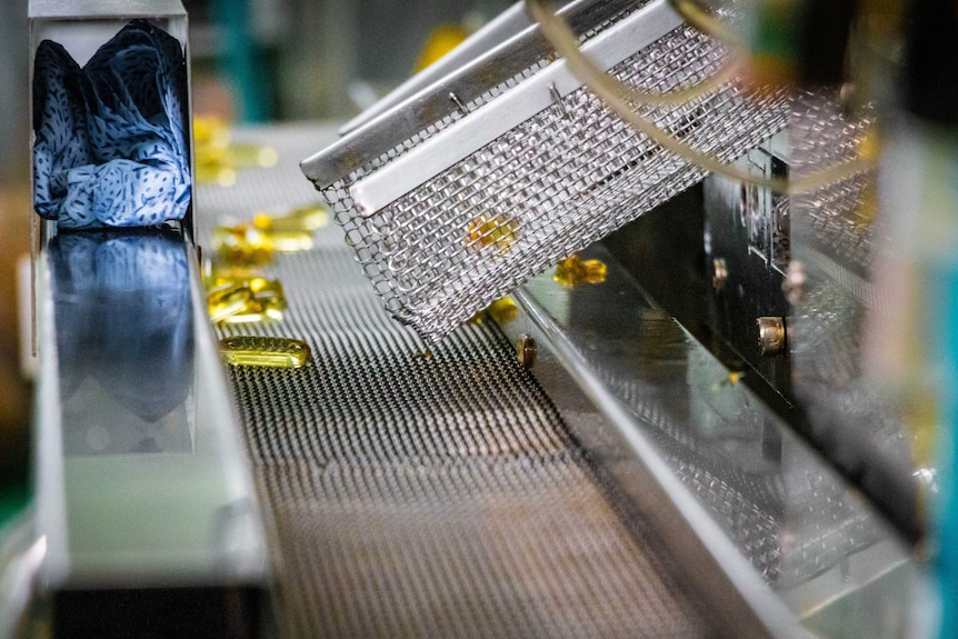 Fish oil capsules on a conveyor belt in a factory in Melbourne.