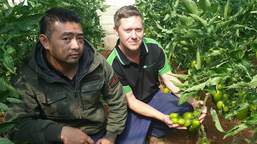 Two vegetable farmers with their produce.