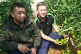 Two vegetable farmers with their produce.