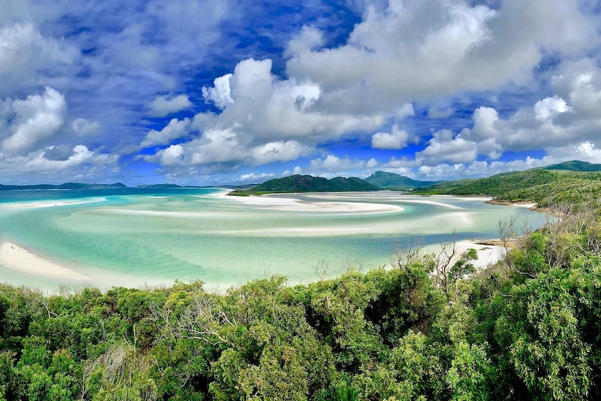 Aerial view of trees and expansive white beach and clear shallows surrounding it, with green hills in far distance.