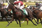 Appearance wins Canterbury Stakes