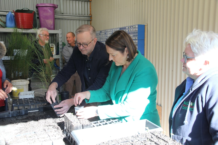 Man and woman standing a garden shed planting sapplings