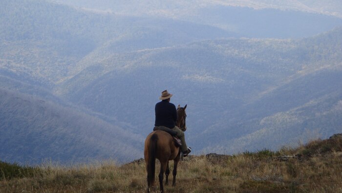 A horse and rider are pictured in the Snowy Mountains, New South Wales.