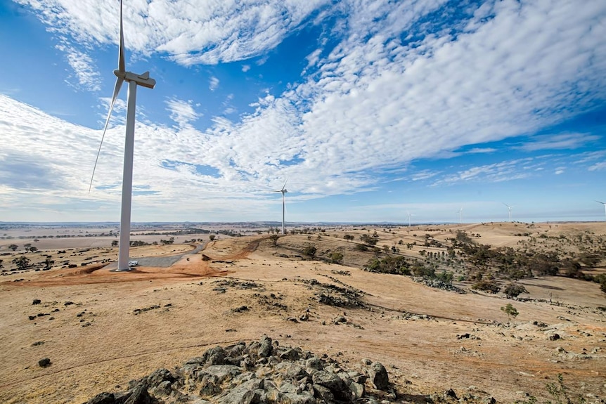 A landscape image of a wind farm.