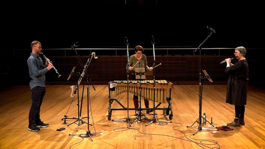 Three musicians (clarinet, vibraphone, and flute) performing on a stage.