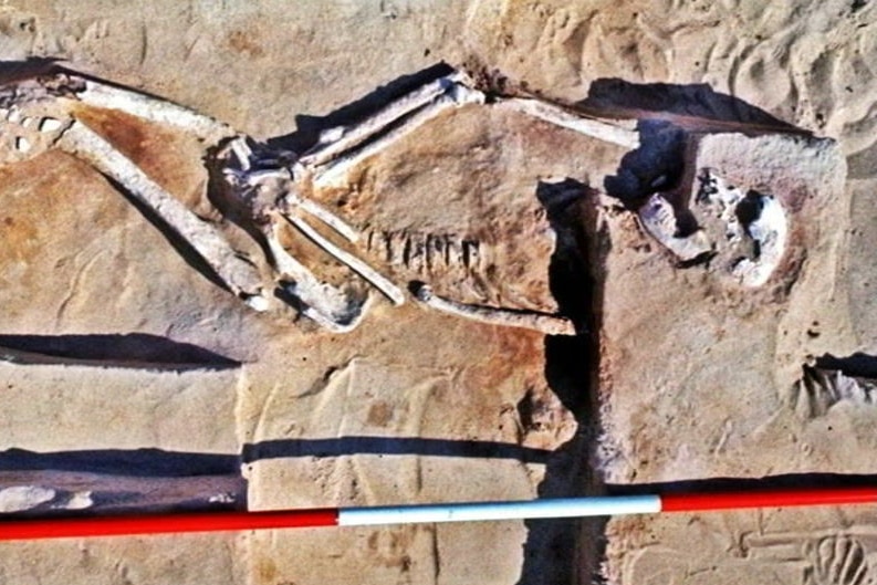A human skeleton on the a bed of dirt, with its head on a slab. A red ad white pole is placed next to it. 