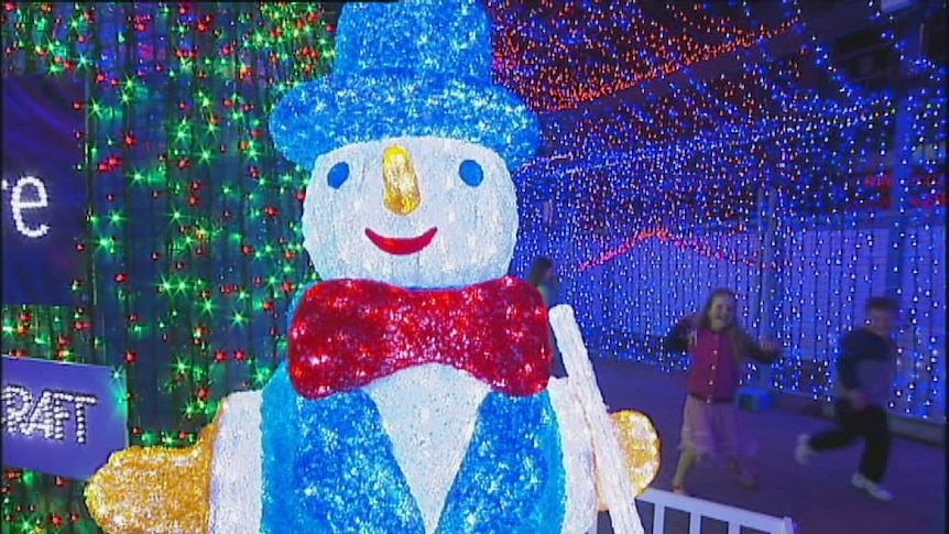 Christmas lights at Petrie Plaza