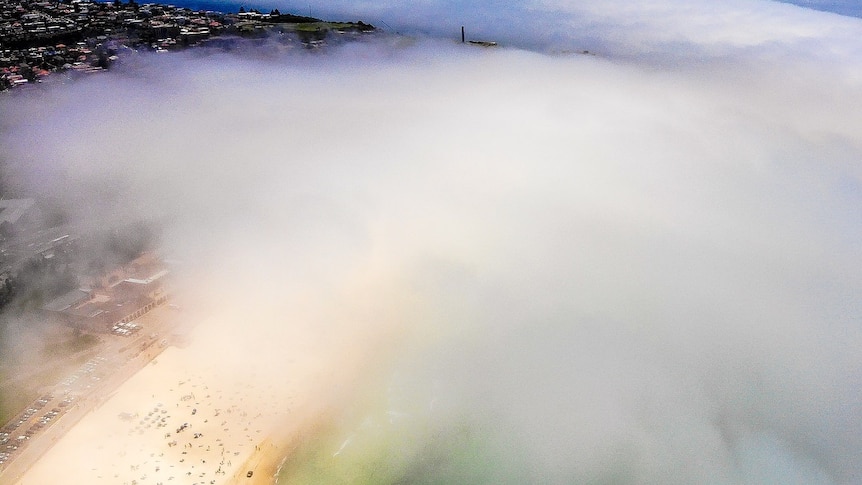 Rare midday fog hangs over Sydney beaches