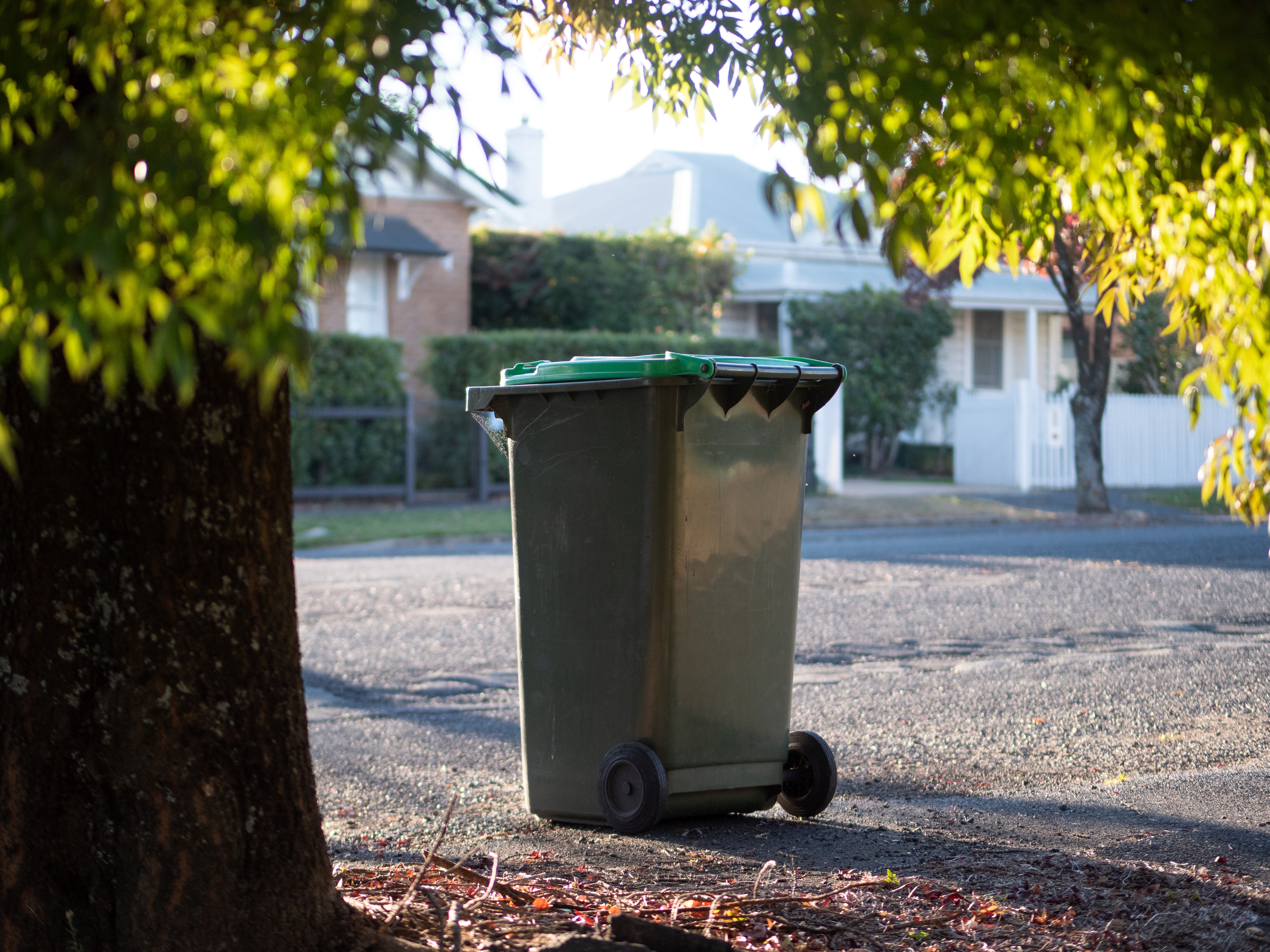 Fuel uncertainty prompts council to scrap green bin collection