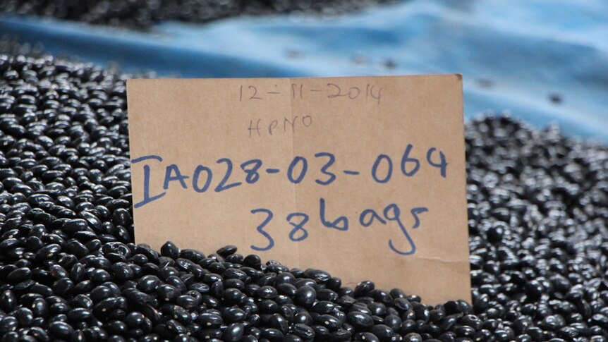 Small black beans sitting on a tarp