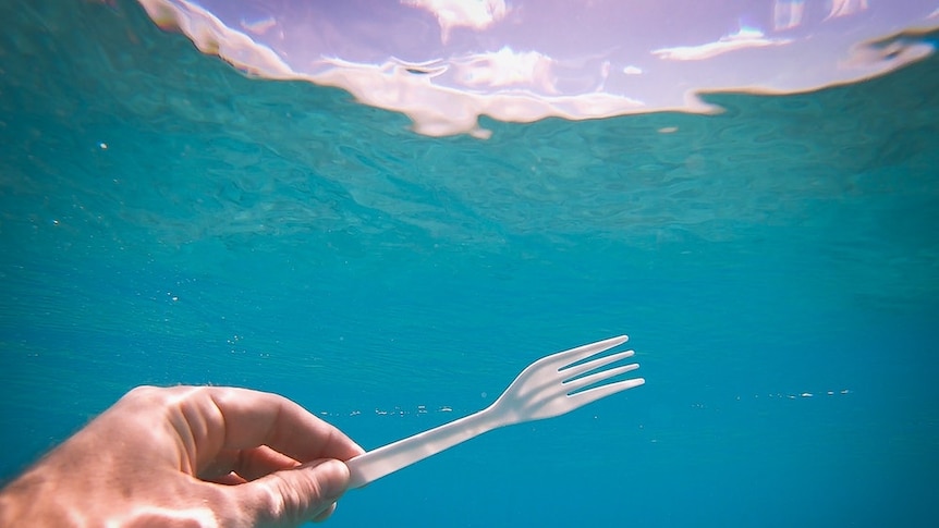 plastic fork