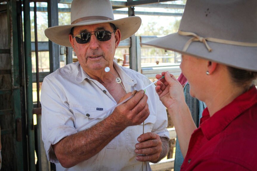 Grazier and retired vet Paul Wright says he has seen 'tremendous' development in the technology in his lifetime