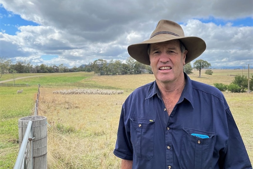 A man wearing an Akubra hat and blue work shirt stands in a paddock in front of a mob of about 50 sheep.