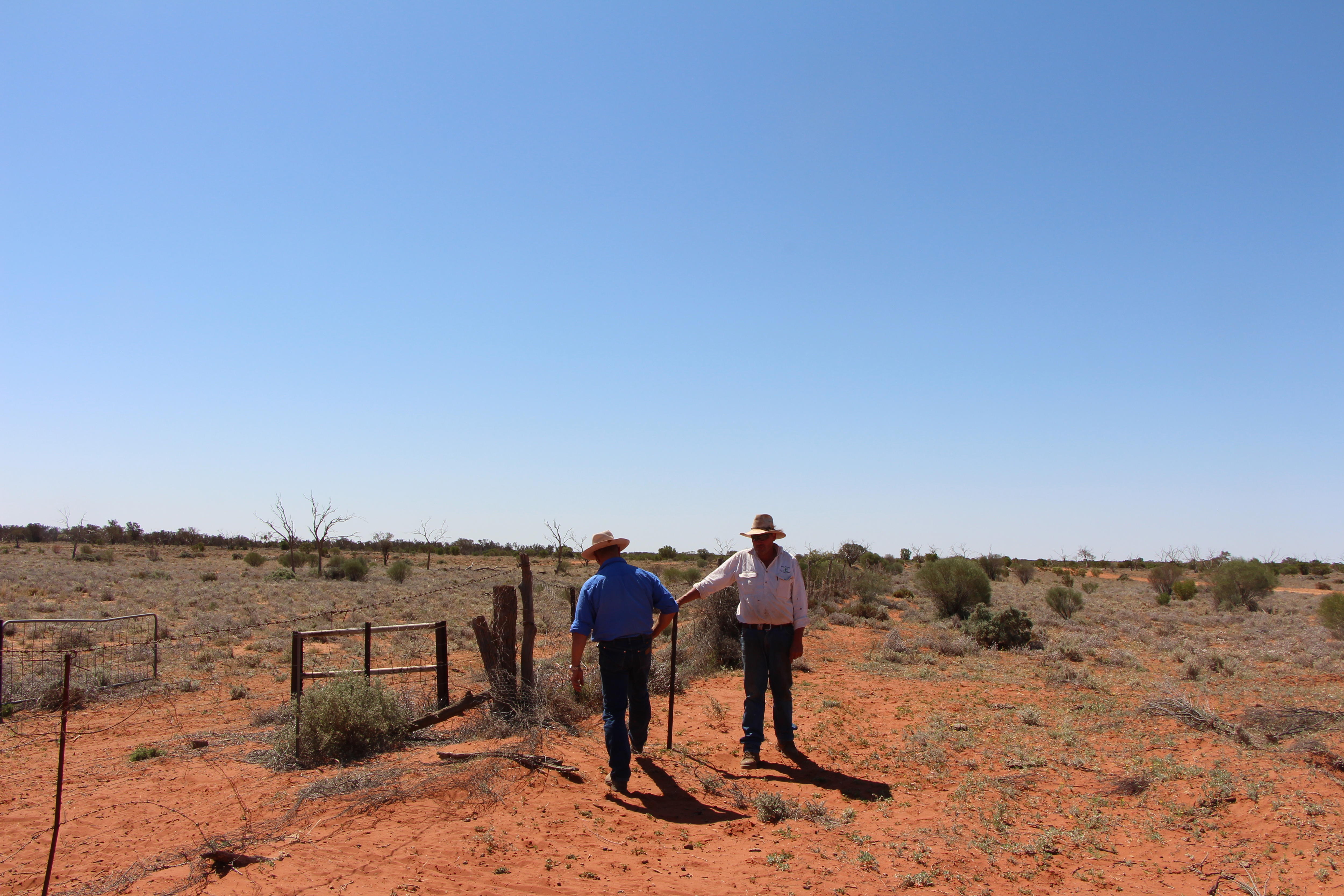 graziers assess fence
