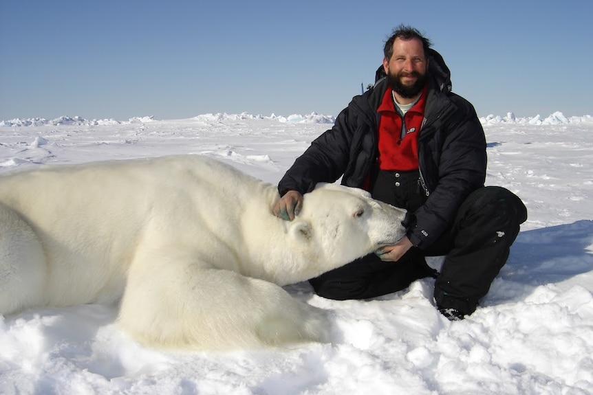 Dr Andrew Derocher with a polar bear