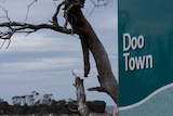 Picture of a sign that says 'Doo Town'