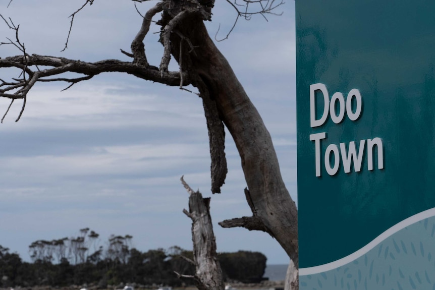 Picture of a sign that says 'Doo Town'
