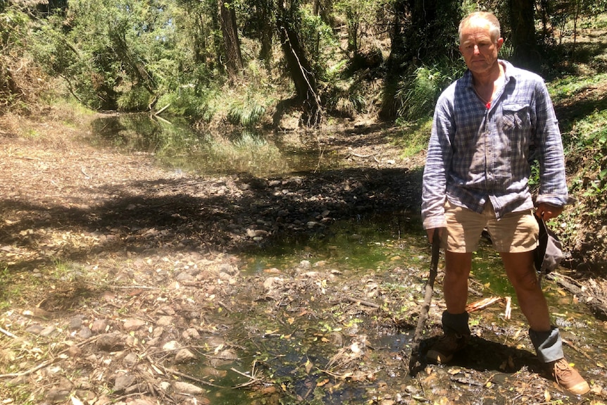 A wider shot of John Tidy standing in the drying creek bed.