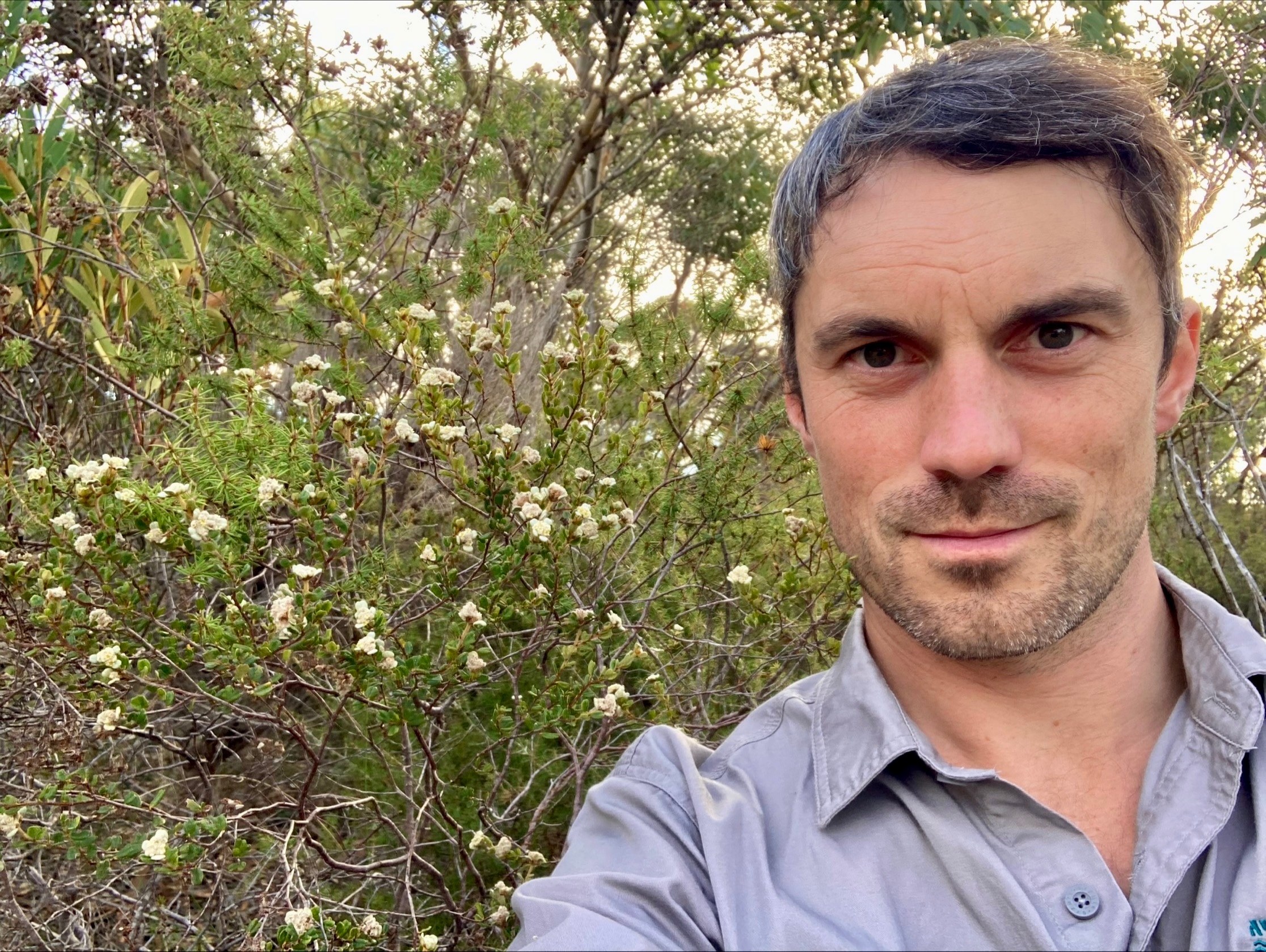 A man stands in front of a bush with white flowers