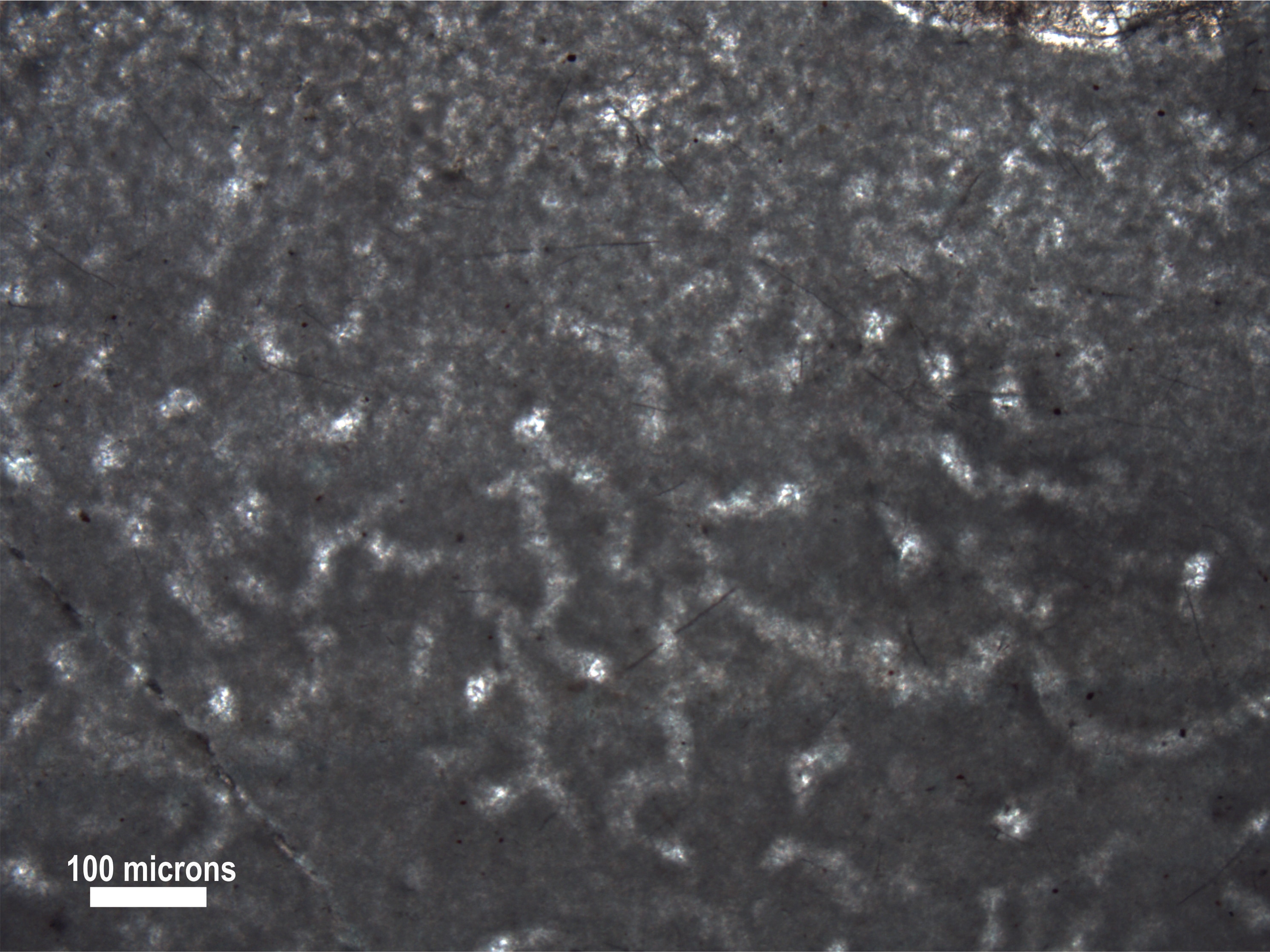 890 million year old sponge-like structure