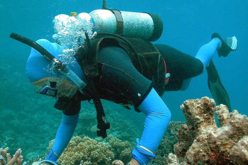 University of Queensland diver investigates reef rubble