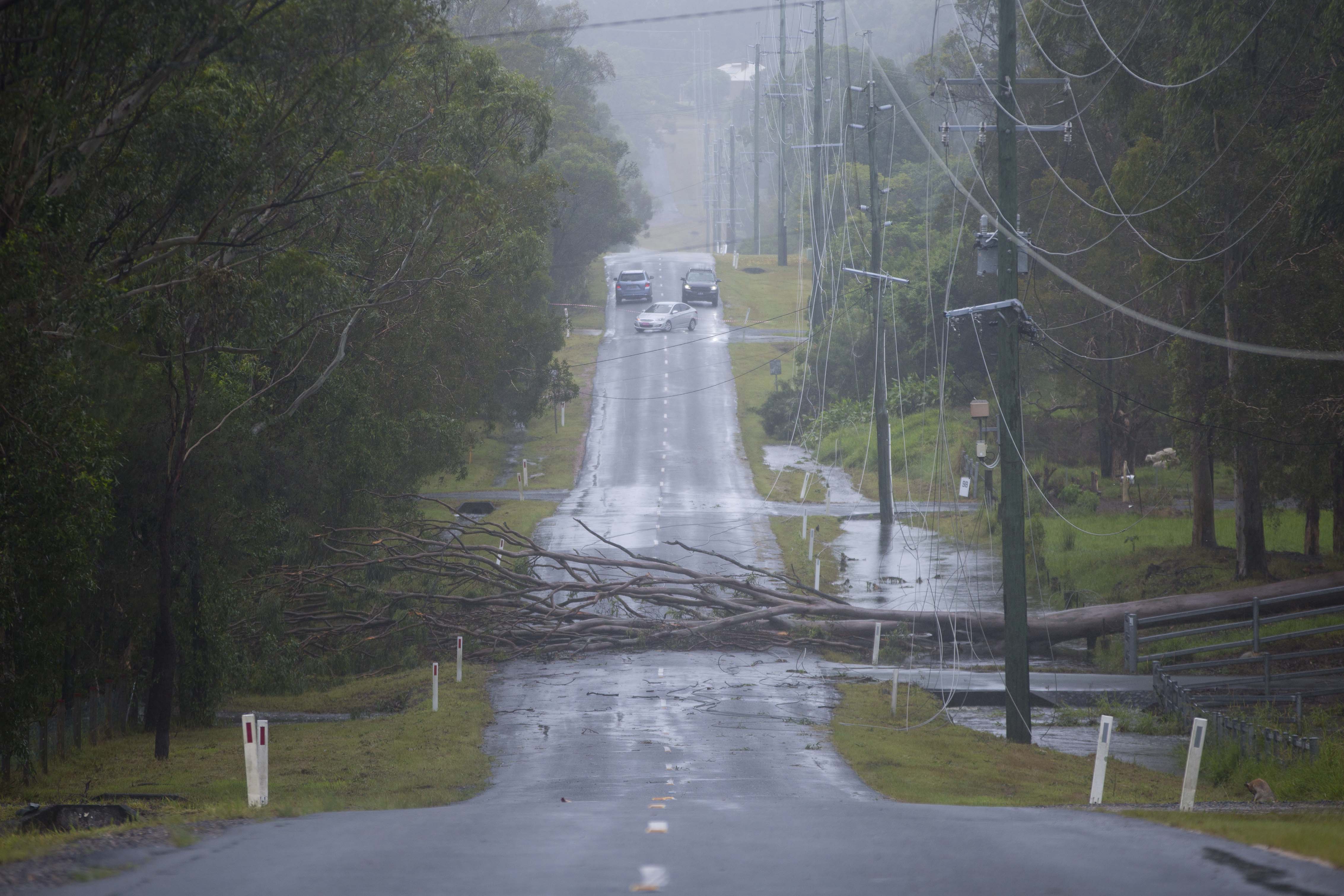 Brisbane residents reflect on near misses in wake of ex-Tropical ...