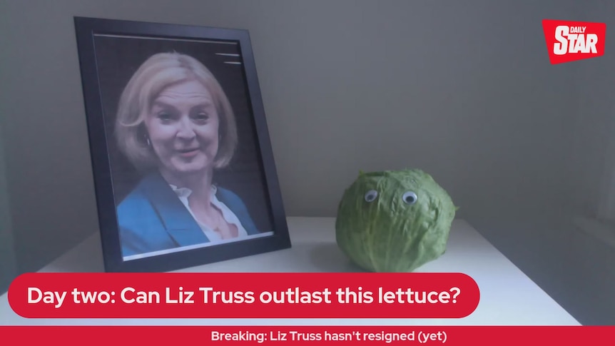 A screenshot from a Daily Star broadcast shows a lettuce with googly eyes next to portrait of Liz Truss