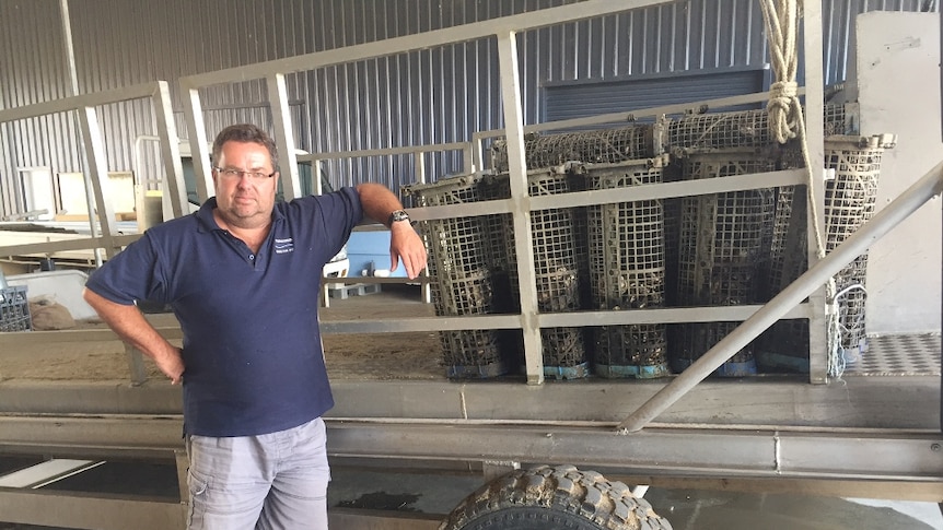 Tasmanian Pacific Oyster farmer James Calvert is bracing for more losses from POMS