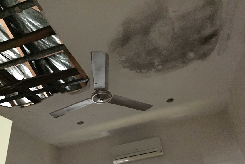 Damaged roof and mouldy ceiling in Mel Deacon's house