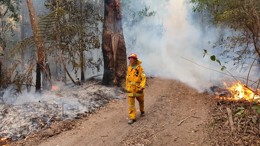 A rural fireman walks through a forest on a track with smoke and burning forest around him.