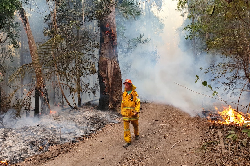 A rural fireman walks through a forest on a track with smoke and burning forest around him.
