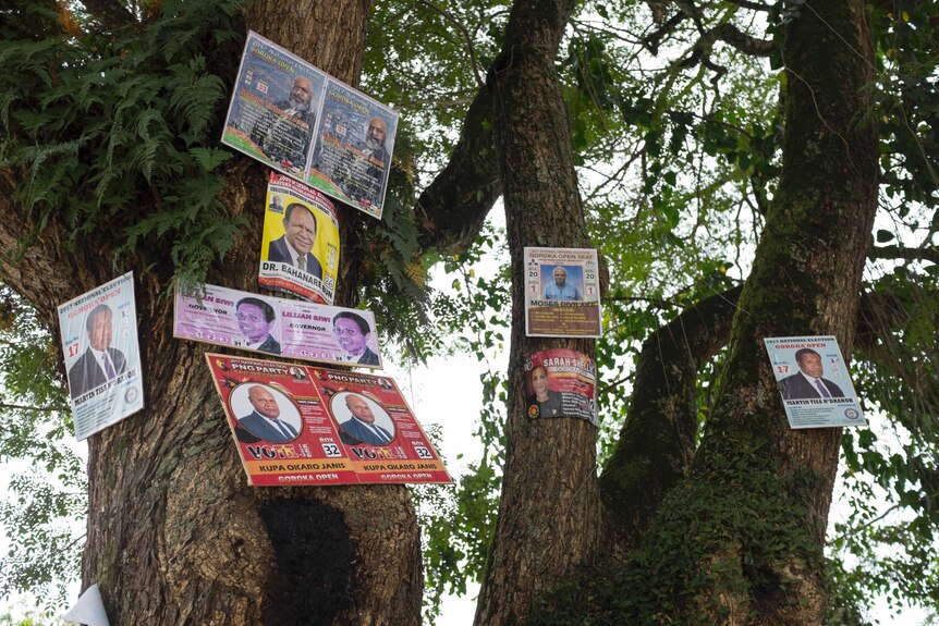 Multiple posters showing different election candidates hang in trees in Papua New Guinea.