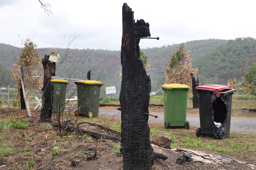 The front fence of a property is burnt out, including a bin that has been partially melted.