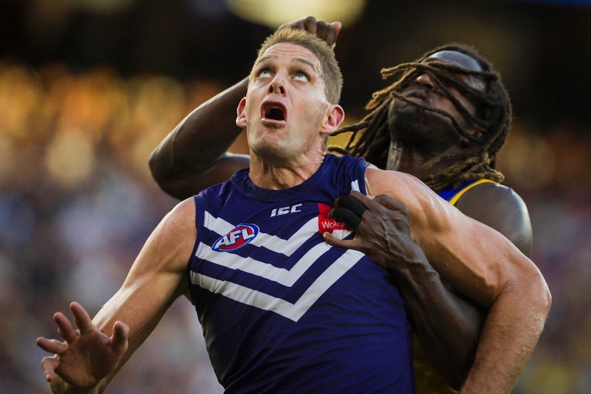 Two players contest the ruck in an AFL match.