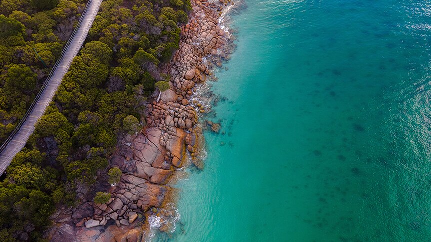 Arial photo of turquoise water, rocky shoreline with green trees and a timber pathway.