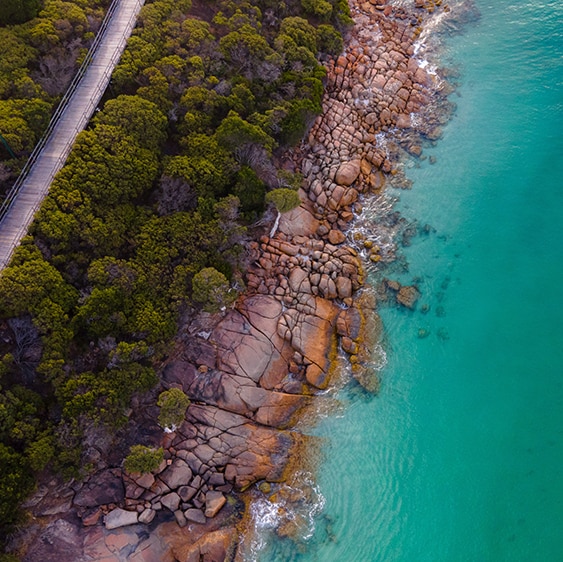 Arial photo of turquoise water, rocky shoreline with green trees and a timber pathway.