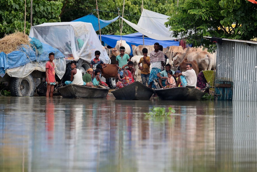 villagers and cattle take shelter on a partially washed away road in Gagolmari village, India.