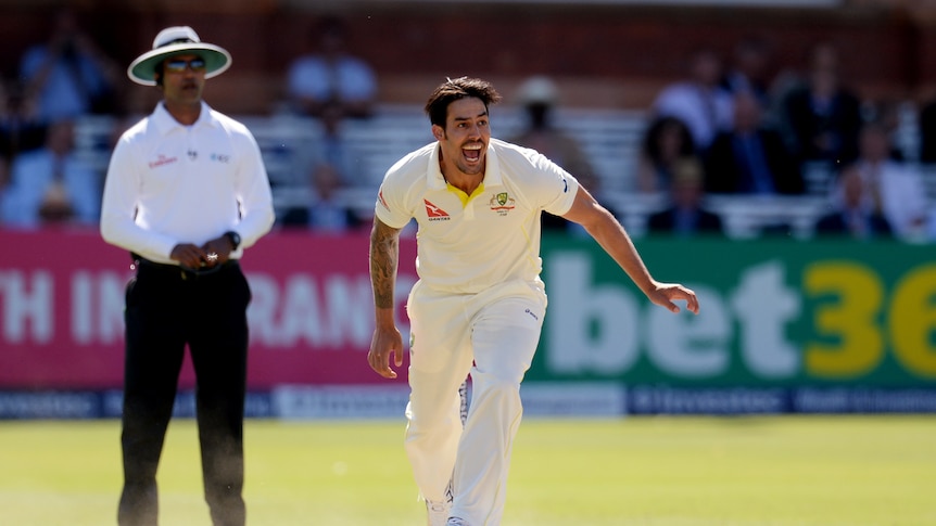 Mitchell Johnson as he takes a wicket