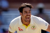 Mitchell Johnson as he takes a wicket