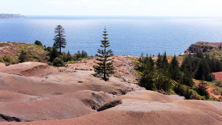 Phillip Island is just six kilometres from Norfolk Island.