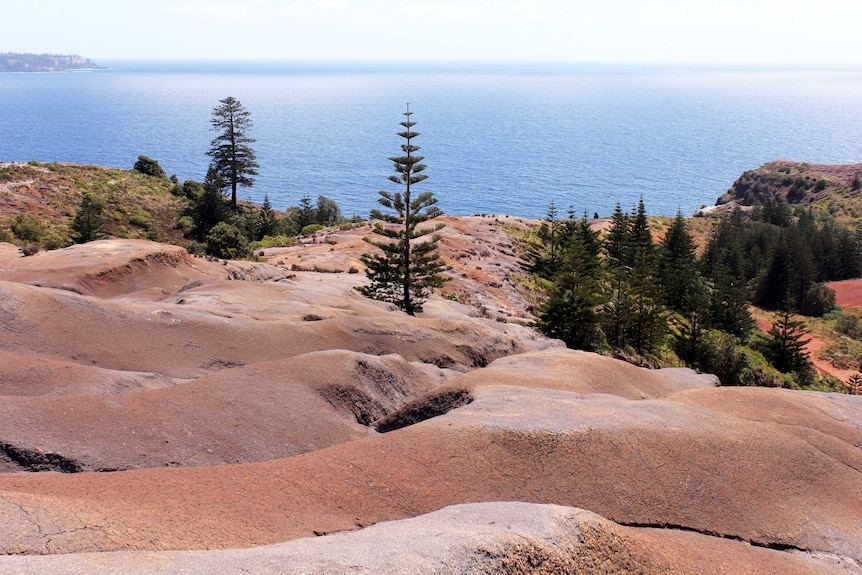 Phillip Island is just six kilometres from Norfolk Island.