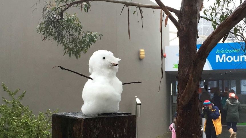 Snowman on Mount Lofty summit