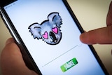 A koala emoji on the screen of a mobile