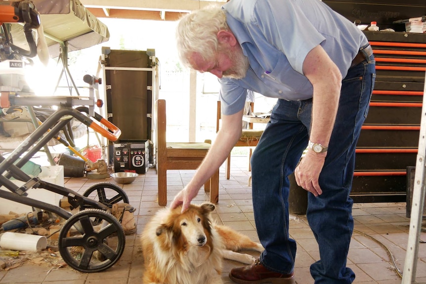 An elderly man wearing a blue shirt and jeans bending down to pat a dog